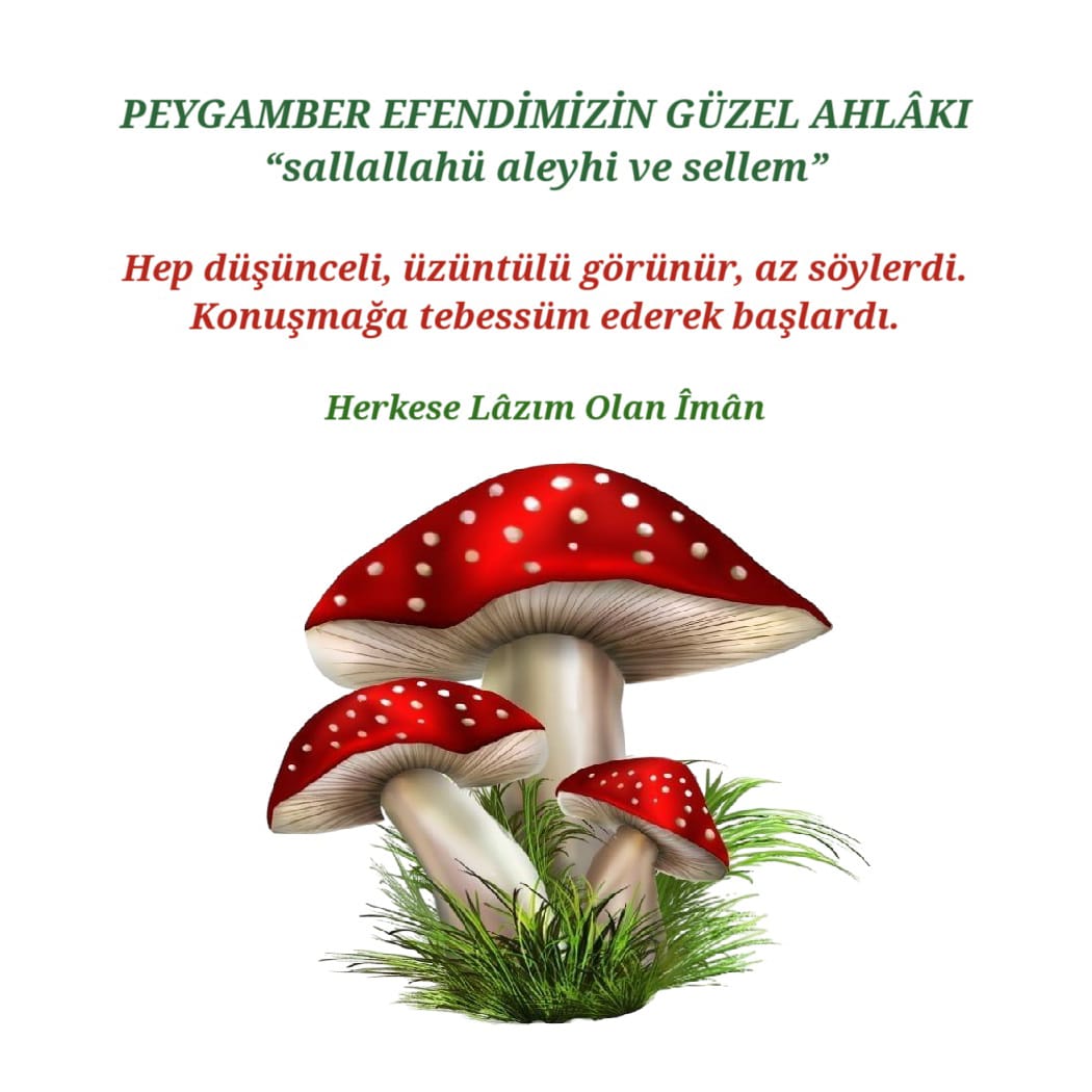 Güzel Ahlakı (10)